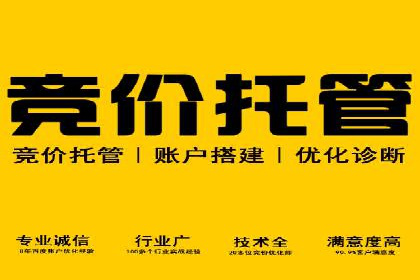 搜索引擎营销（SEM）广告的创意与执行案例